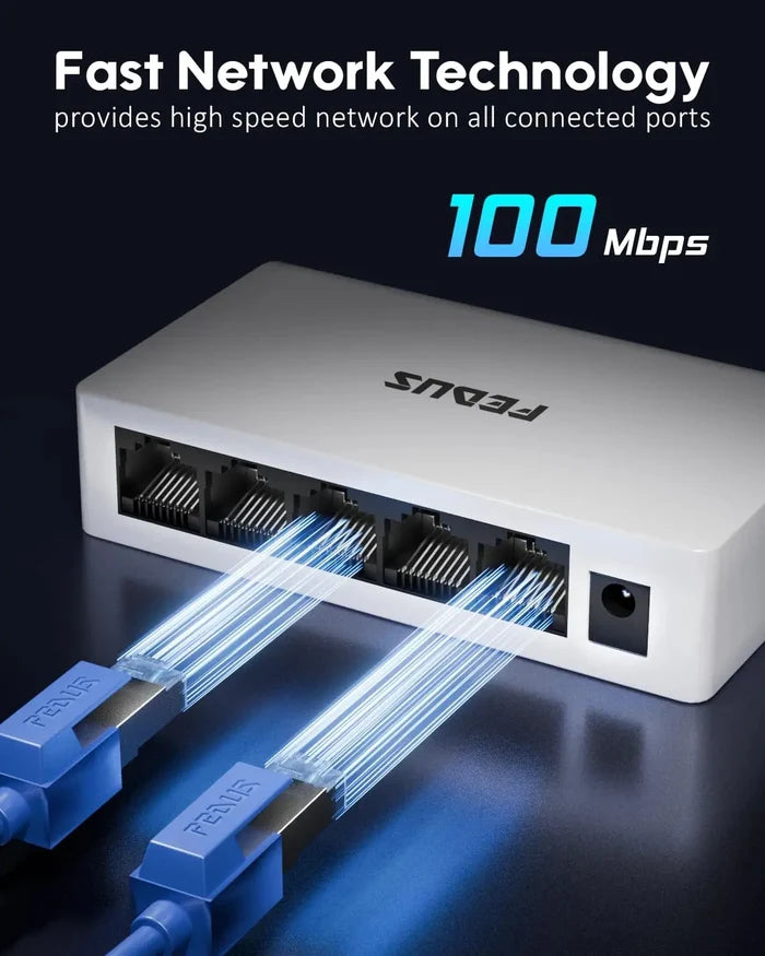 Network hub with blue cables and 'FEDUS' branding, highlighting 100 Mbps speed.