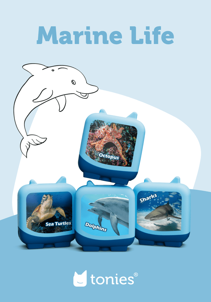 Marine Life Clever Tonies - 4 Pack | Illustration