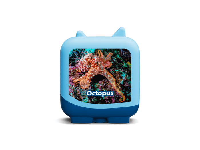 Marine life clever tonies audio figurine for the Toniebox, which plays audio content
