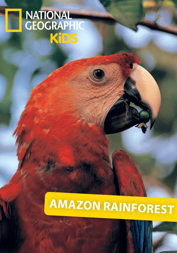 National Geographic Kids: Amazon Rainforest Tonie | Illustration
