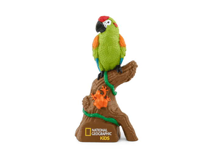 Amazon Rainforest | transparent