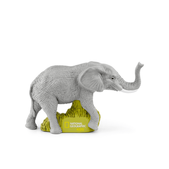 Elephants | plp image
