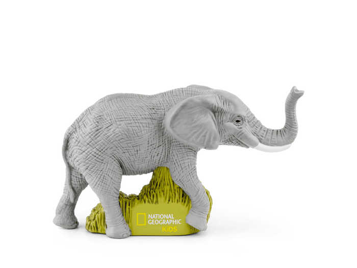 Elephants | transparent