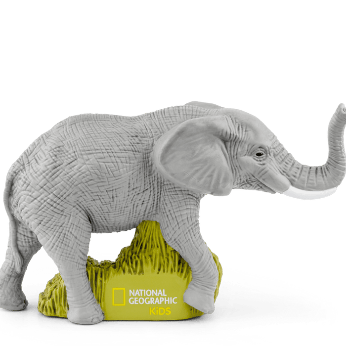 Elephants | bundle
