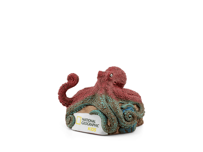 Octopus | transparent