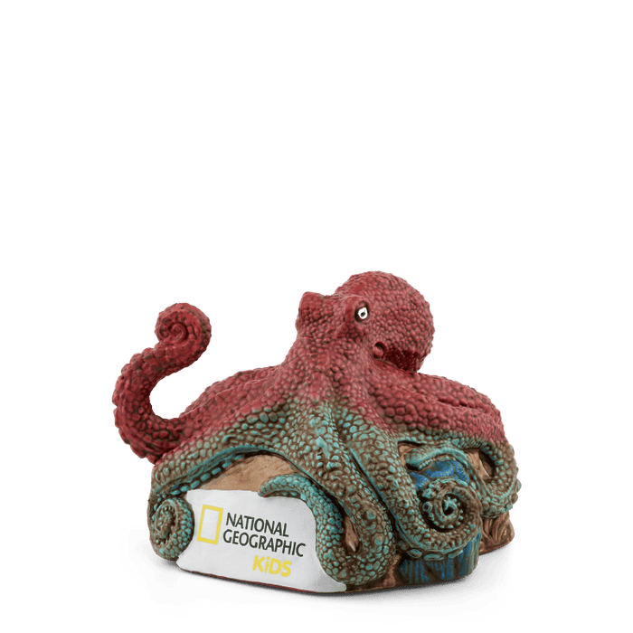 Octopus | bundle