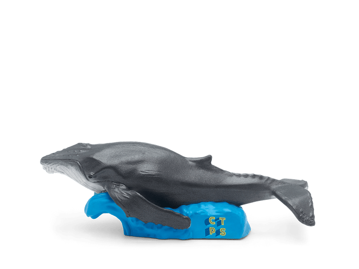 Whale | transparent