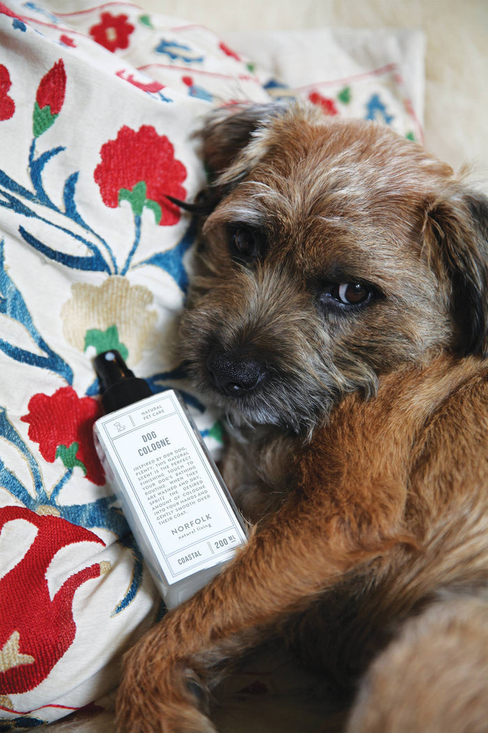 Dog Cologne - Coastal Walks 200ml