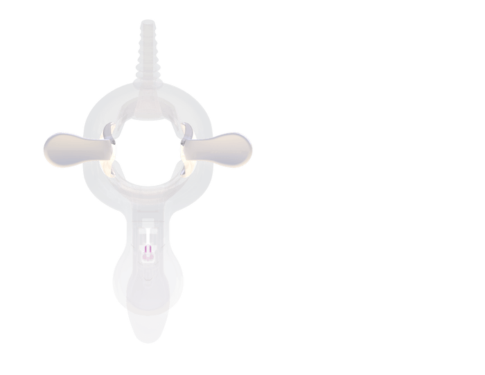 Orchid - The Spoon