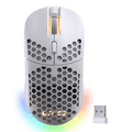 LTC Mosh Pit RGB Wireless/Wired Gaming Mouse