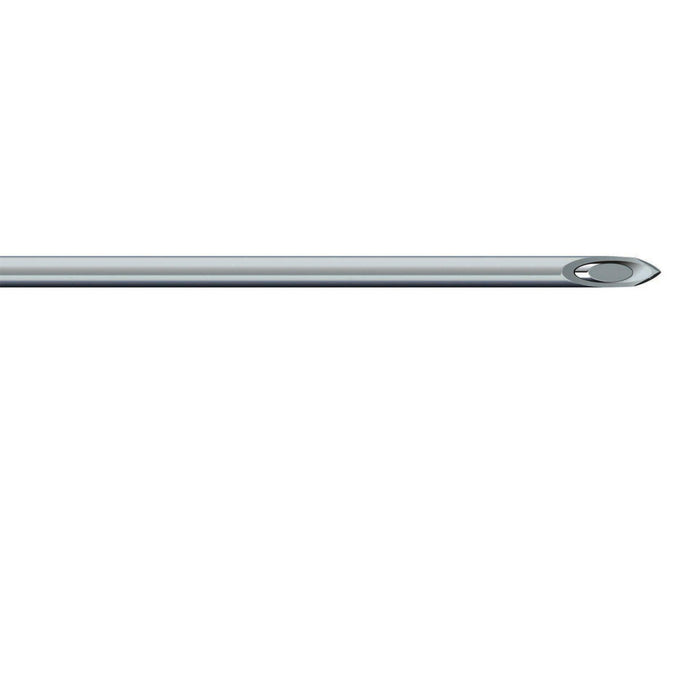 BD™ Spinal Needle Tip