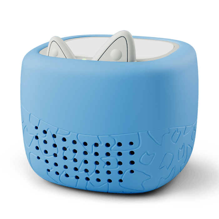 Arctic Blue Cover | bundle